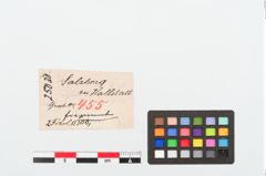 Etiketten zu Bronzebrillenfibel (NHMW-PRAE-025030)